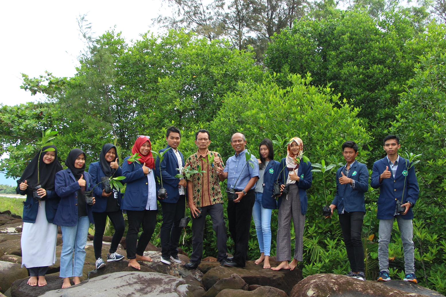 Mahasiswa FPIK Universitas Bung Hatta Tanaman Mangrove di Pantai Kampus