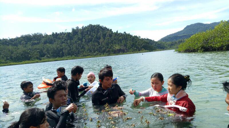Diving Proklamator Universitas Bung Hatta: Transplantasi Lamun sebagai Bagian Atraksi Wisata Bahari